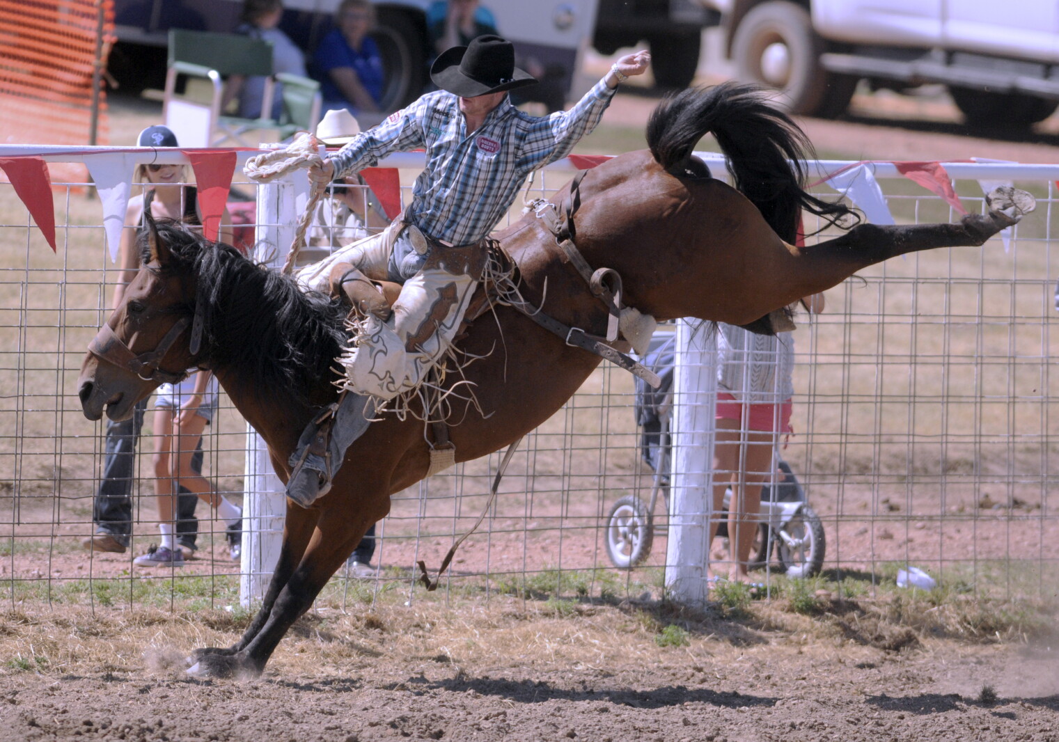 Champions Ride Rodeo draws best bronc riders in the world - The ...