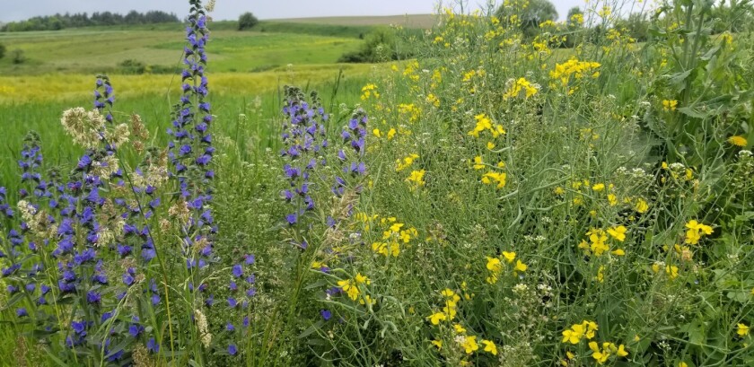 Western Ukraine