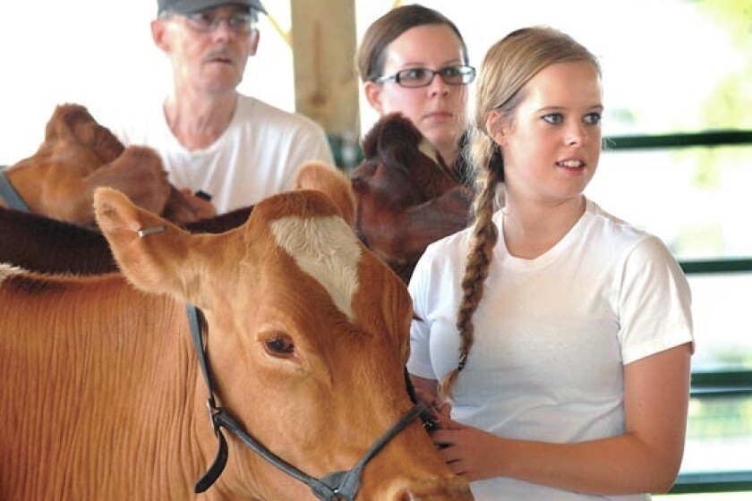 48013+201108050805-livestock-clearwater-fr.jpg