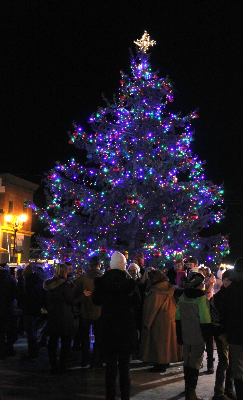 120121.N.PRE.TreeWIDE.jpg