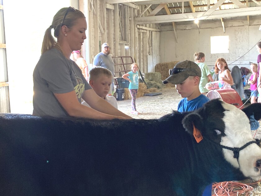 Pictures from the Wadena County Fair.