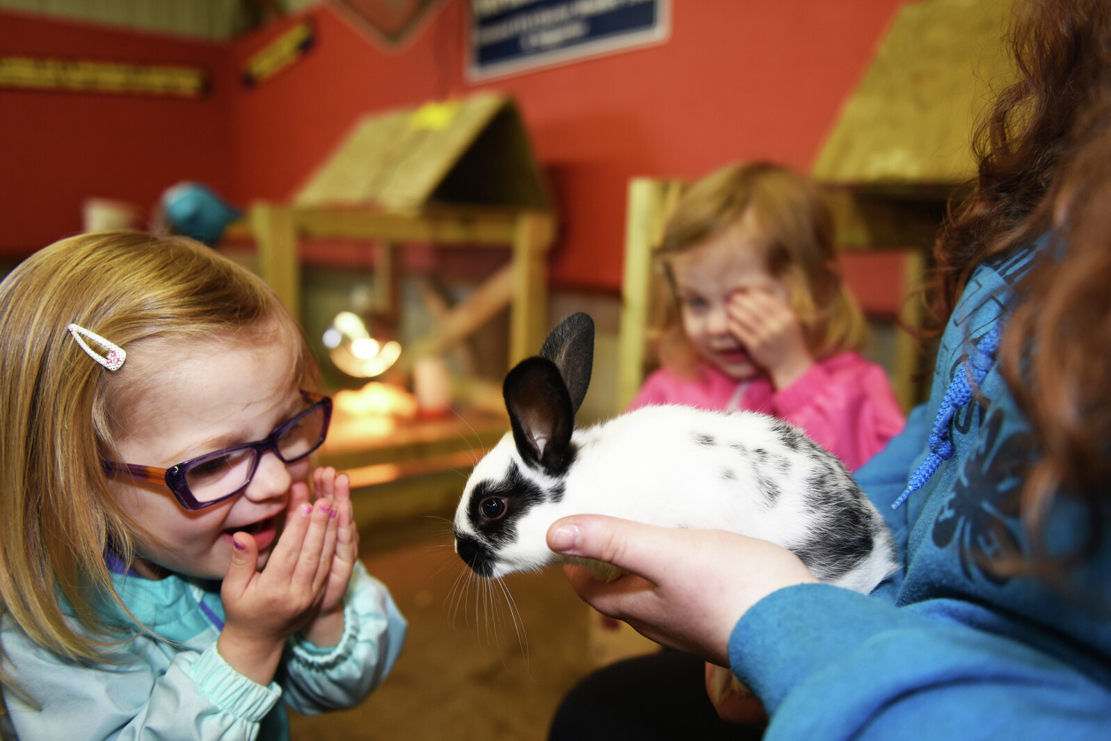 Reacting Rabbit Rabbit Reaction - Brainerd Dispatch | News, weather, sports from ...