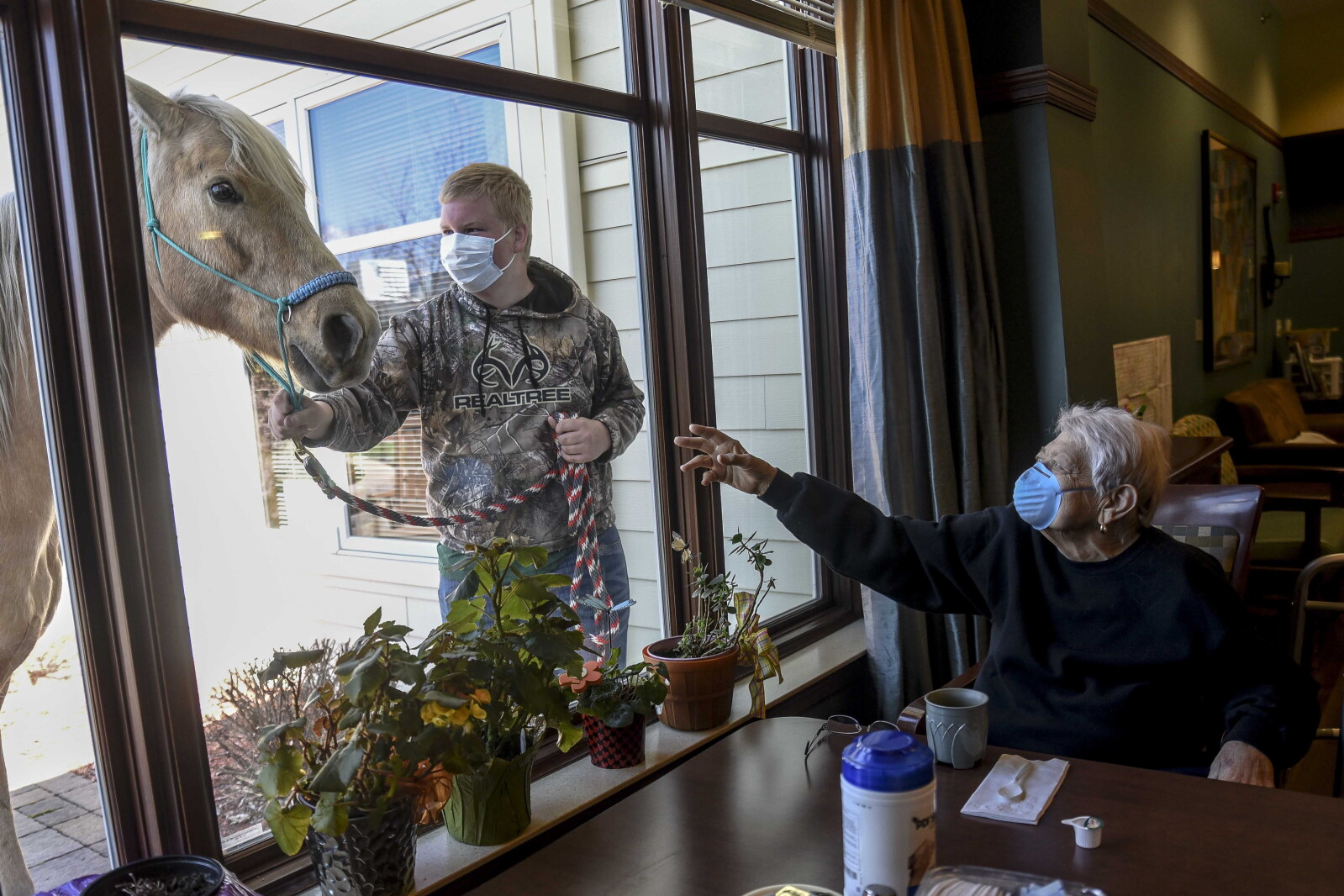 Four-legged visitors 'neigh' hello through the window - West Central ...