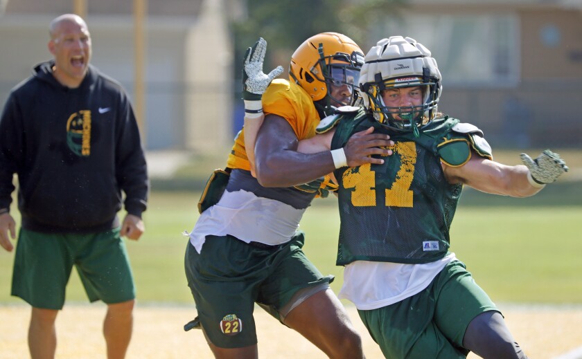 081221.s.ff.bisonwilliams.02.jpg