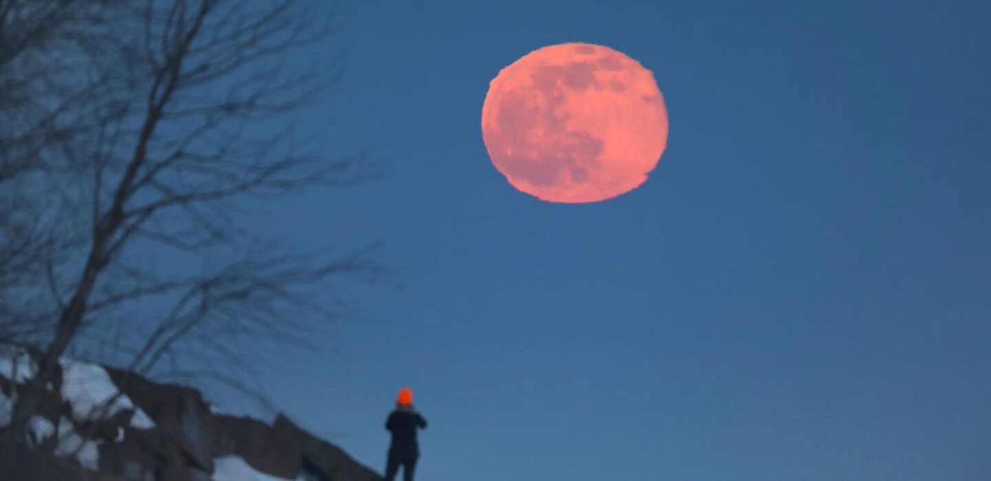 Xuvumfxsu4skam Xuvumfxsu4skam