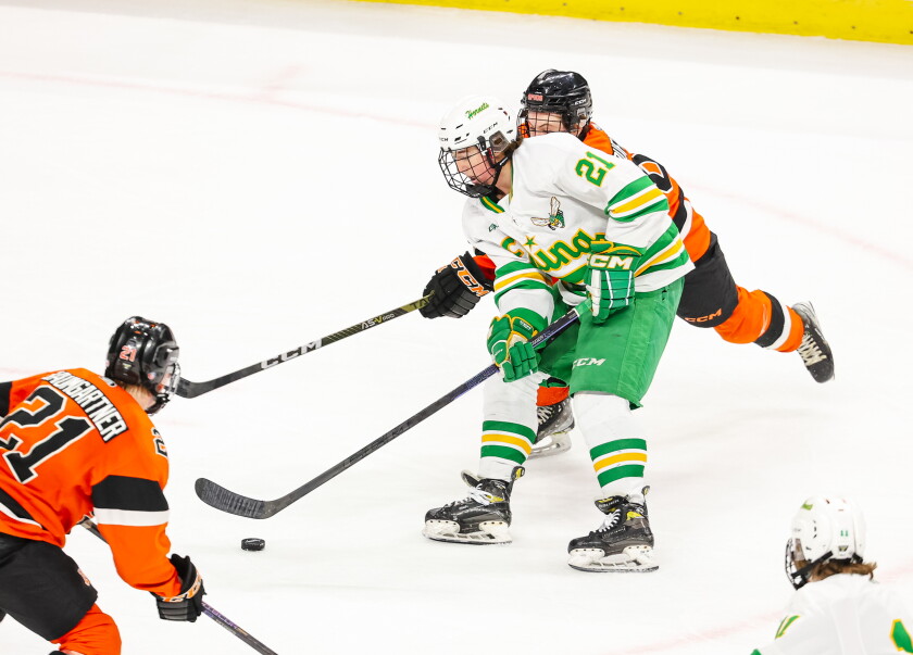 Sam Scheetz 5 from Edina, 4 from Minnetonka highlight Class AA all-tournament team ...