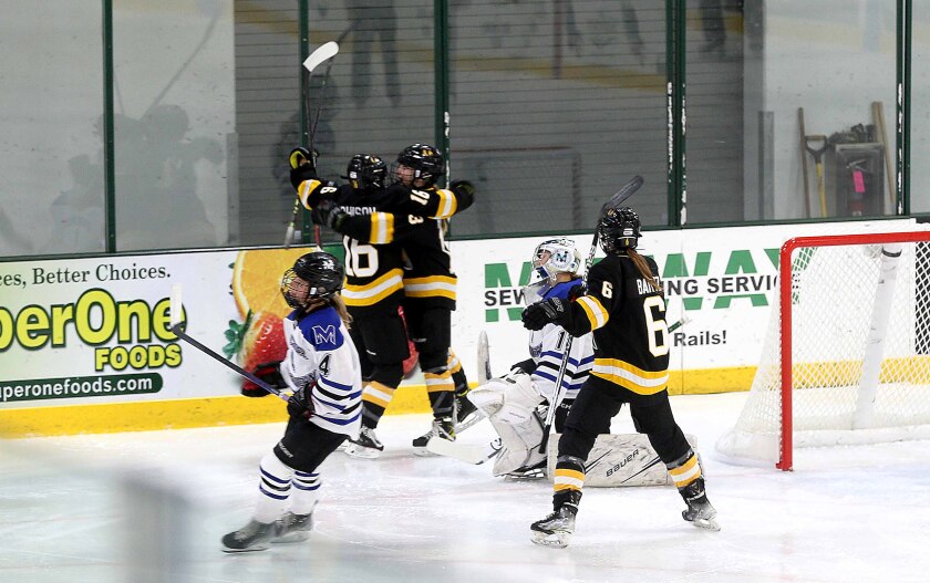 Warroad players celebrate after a goal