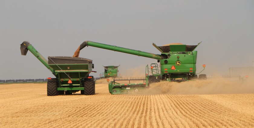 150YearsOfWheat02.jpg