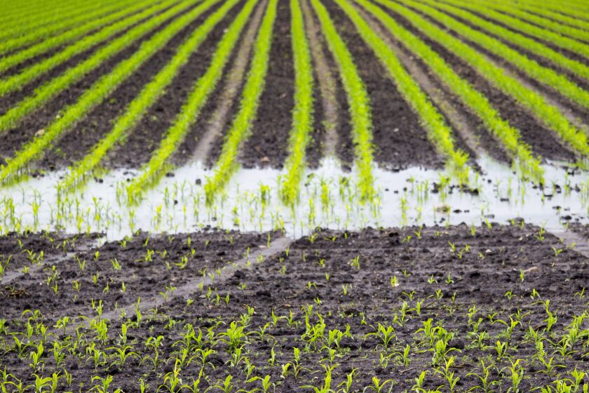 2653357+053116.AG_.entWaterFields3.jpg