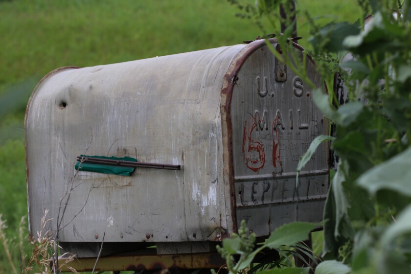 The Leppert family mailbox, now partially hidden away from the road by grass and weeds in LaMoure County, North Dakota. Photograph taken on Aug. 13, 2024..jpg