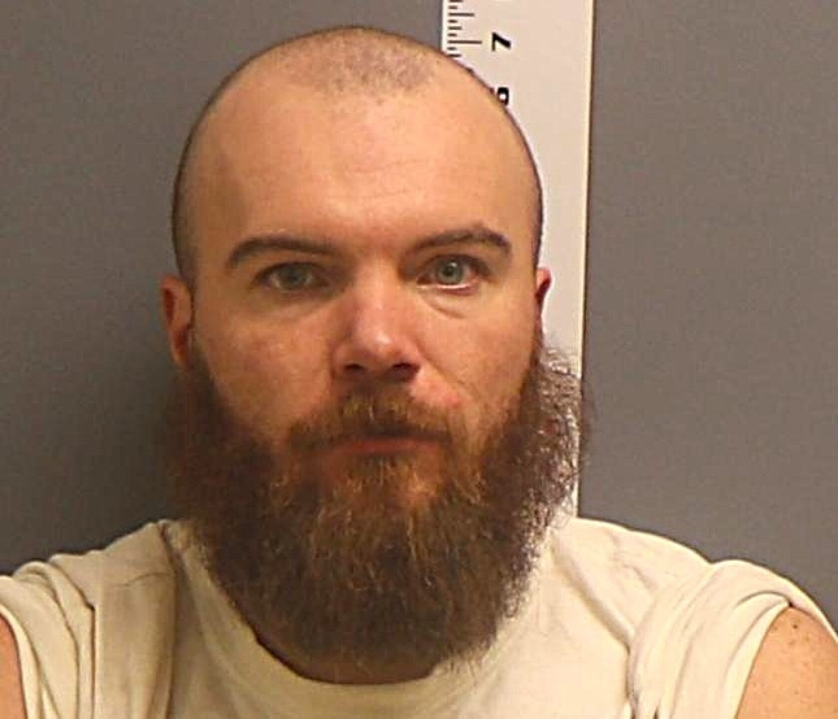 ‘Flock’ cameras on Hwy 59 lead Detroit Lakes police to stolen vehicle ...