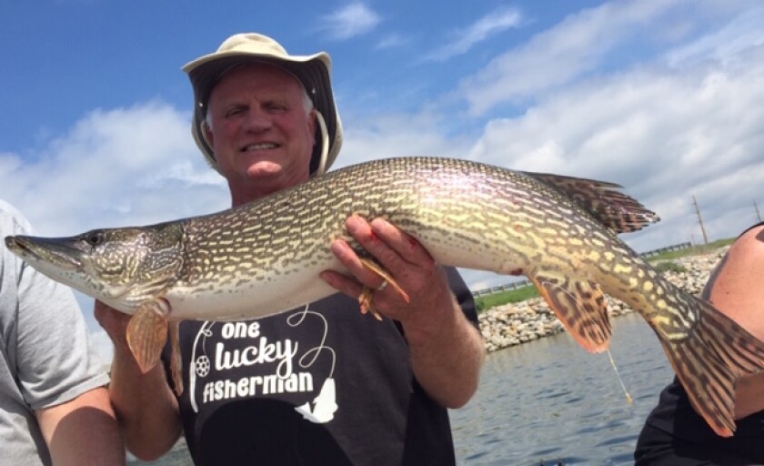 15 pound 38 inch northern released.jpg