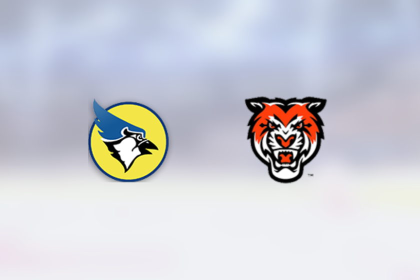 img_500229058_rinklive.png