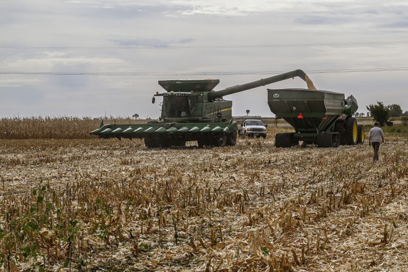 100720.A.DR.HARVEST10.jpg