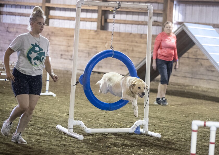 Sloan Stahnke, 15, at left, and her Yellow Lab, "Levi," make their way through an obstacle course at the Kandiyohi County Fairgrounds on Wednesday, August 10, 2022.