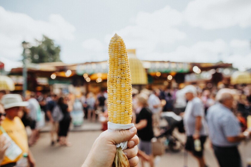 A 'Fair' bit of food at the Minnesota State Fair - Post Bulletin | Rochester Minnesota news, weather, sports