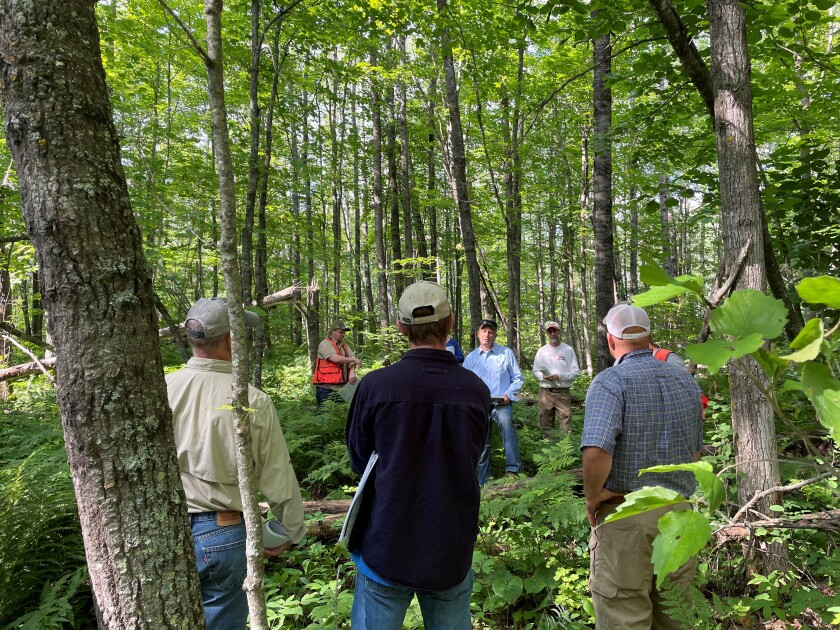 grouse habitat tour