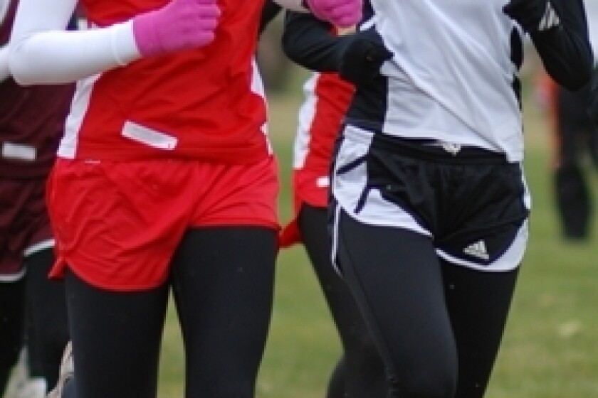 Bismarck High sweeps WDA cross country - The Dickinson Press | News ...