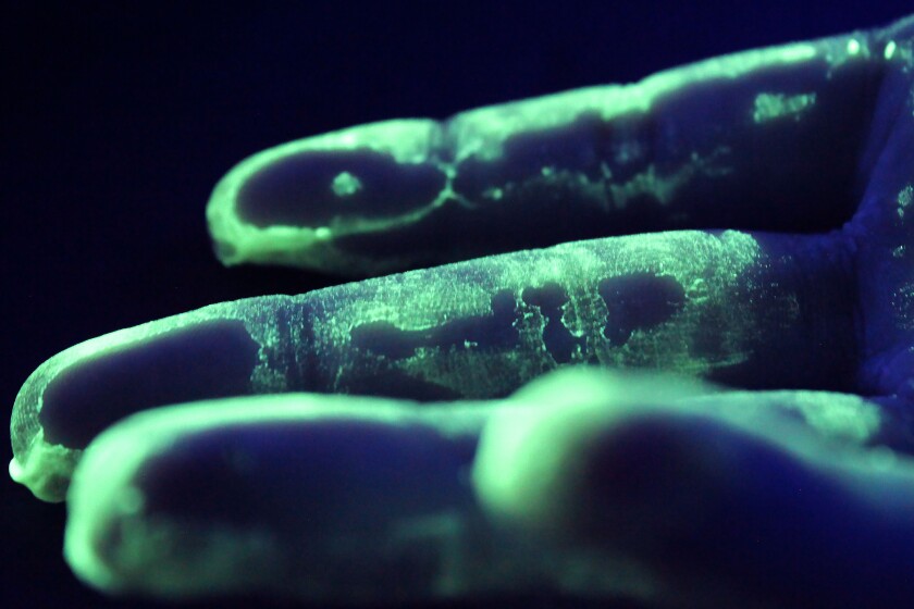 Alyssa Kayser_Fingerprints.jpg