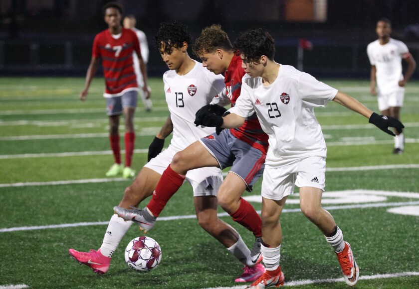 102821 N DG Worthington vs Willmar Cardinals State S3.jpg
