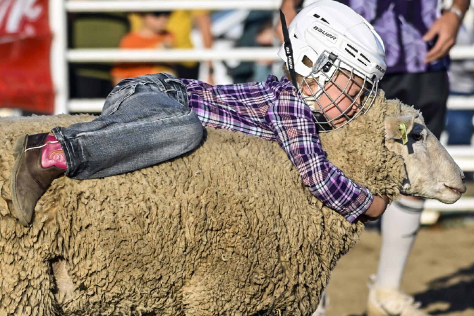 081421.ScottieStampede73.jpg