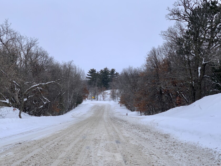 A snowy road with a thick growth of trees on both sides.