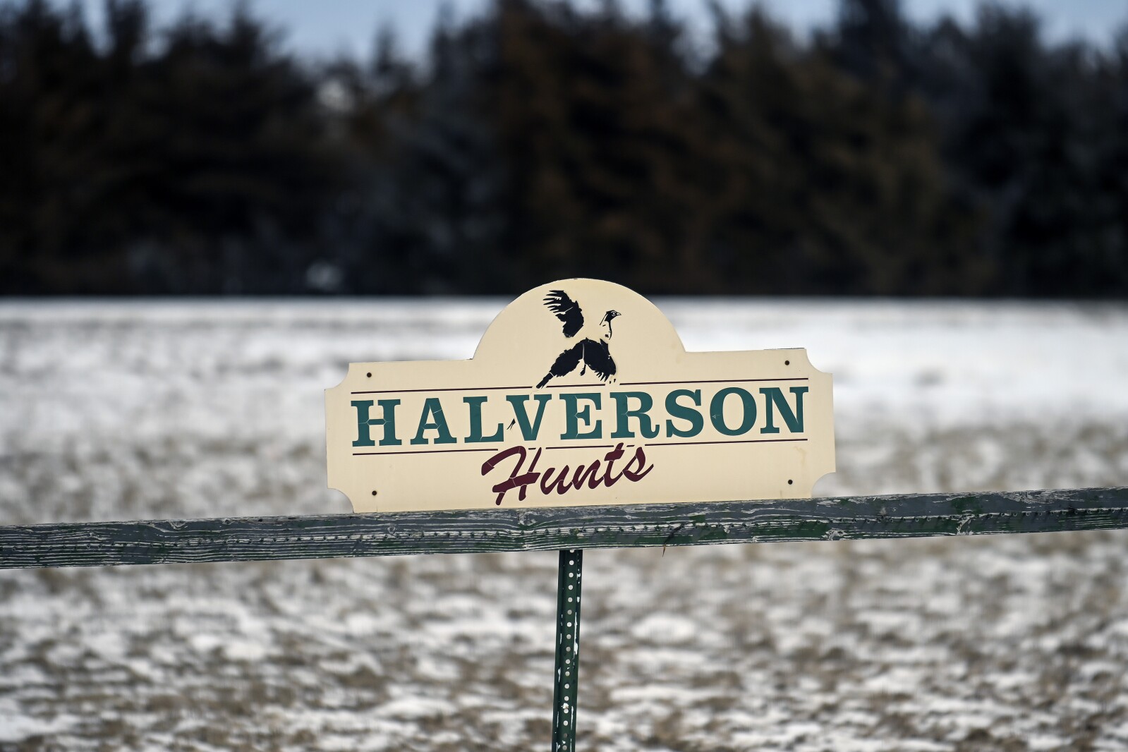 011222.N.DR.HUSKERHUNT62.jpg