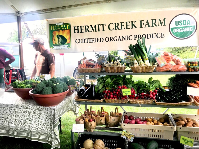 A man stands near tables of broccoli, watermelon, potatoes, radishes and more at Harvest Fest 2019.