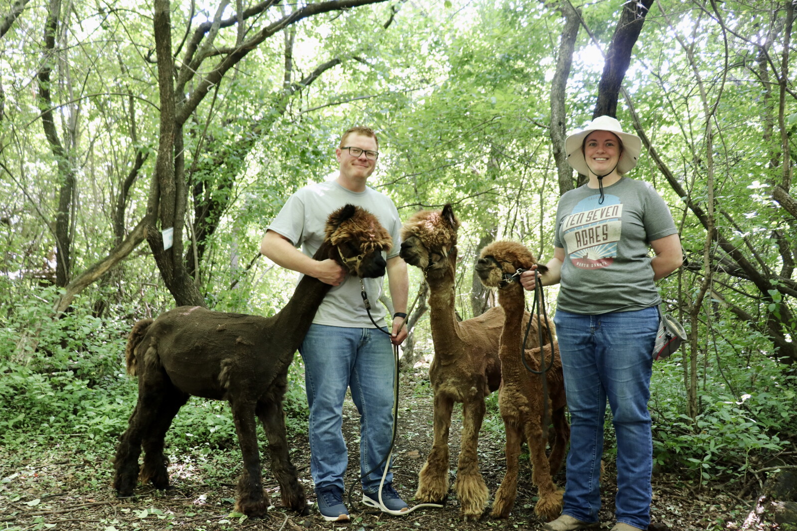 Ten Seven Acres brings visitors closer to nature, one alpaca at a time