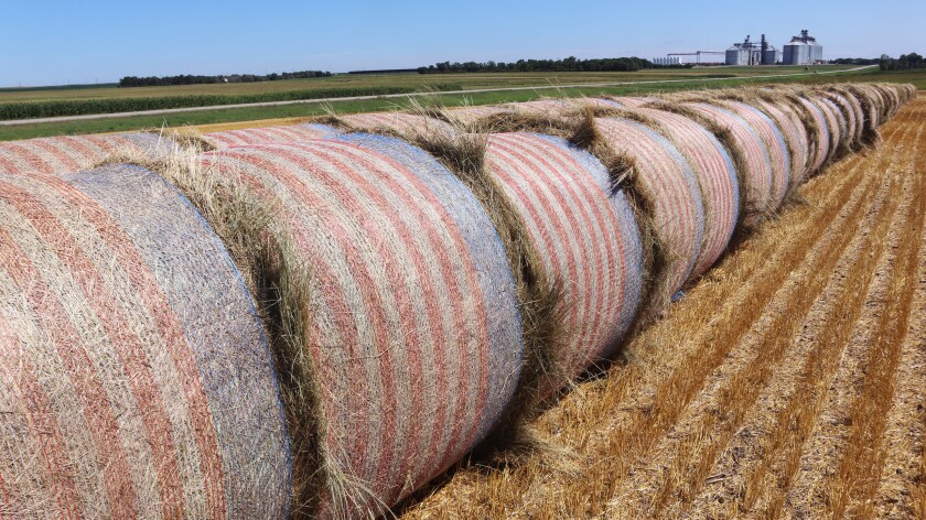 062821.AG.FlagsOnFarmsBowdleSD03.jpg