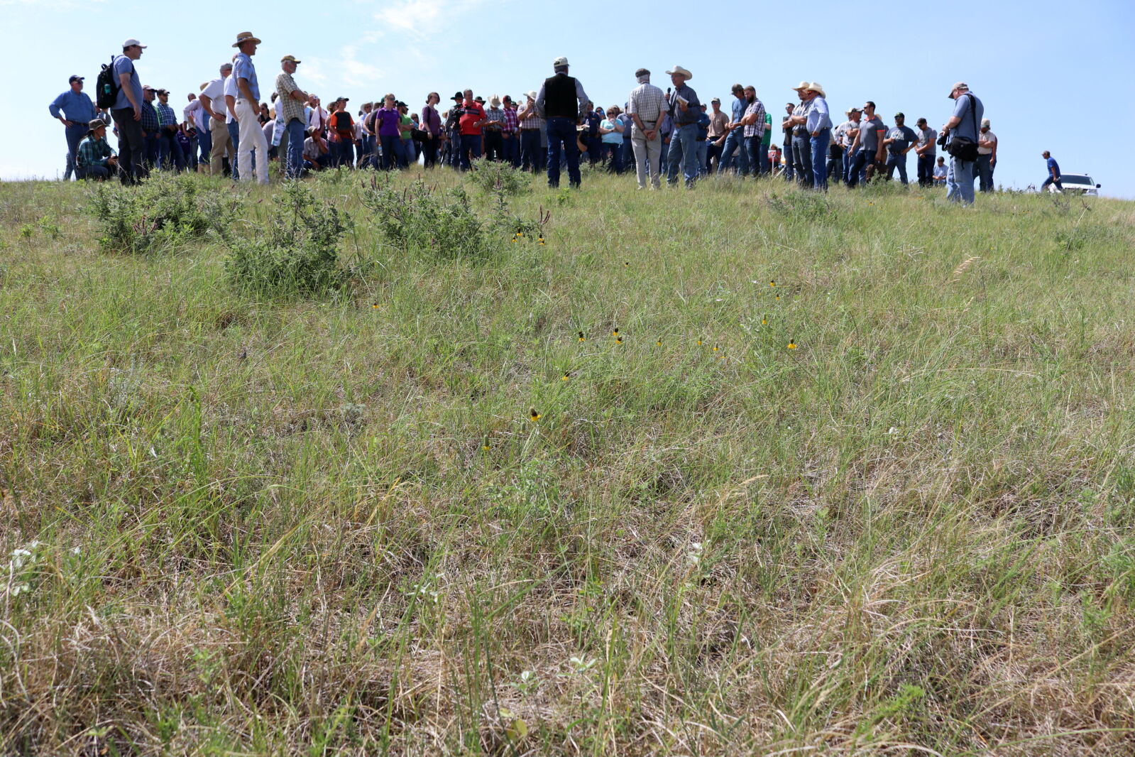 Black Leg Ranch tour set Sept. 13 - Agweek | #1 source for agriculture ...