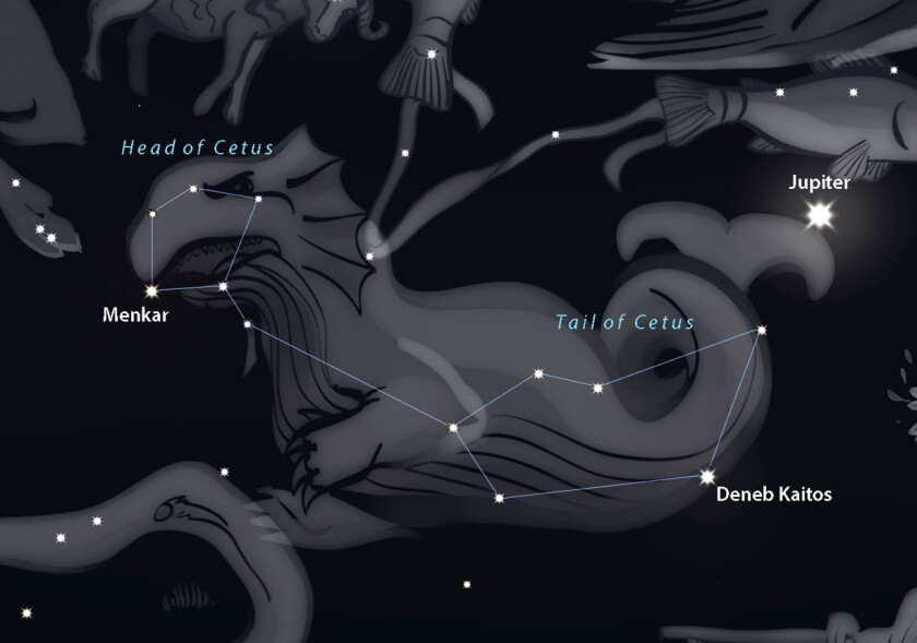 Cetus myth