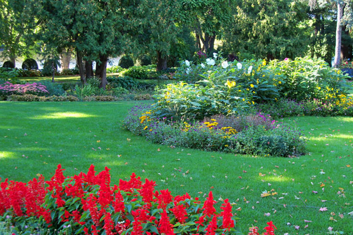 Munsinger CLemens Gardens 100_1763.jpg
