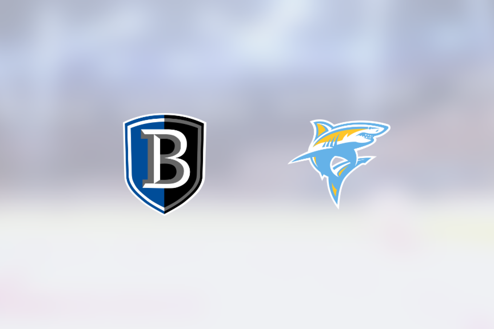 Bentley Falcons and Long Island drew 11 The Rink Live