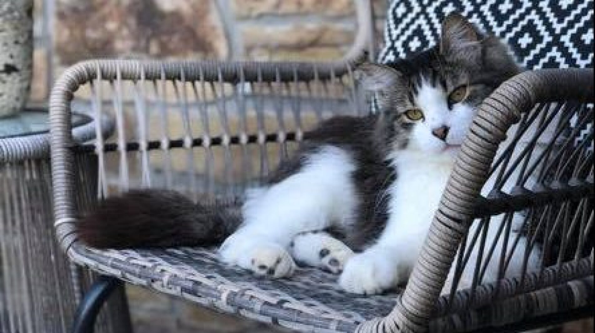 ‘I never meant to be a bad guy,’ says delivery driver charged with