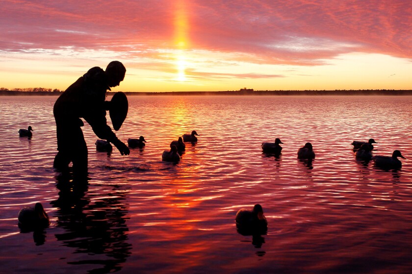 Dawn of a new waterfowl season All signs point to a good year for