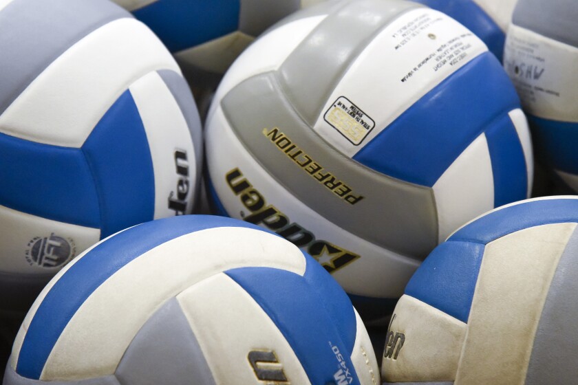 generic volleyball