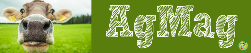 Screenshot (31).png