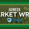 Grain markets finish with 'good gains' in a short week of trading