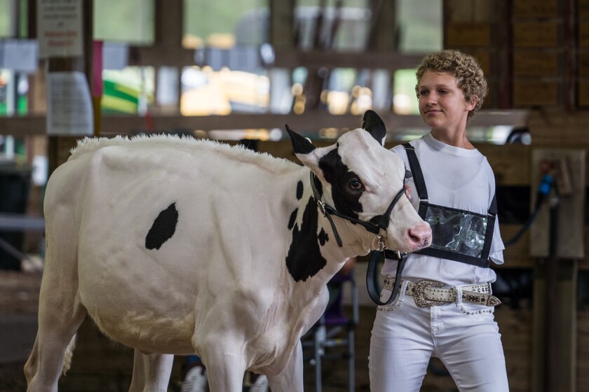Wabasha County Fair