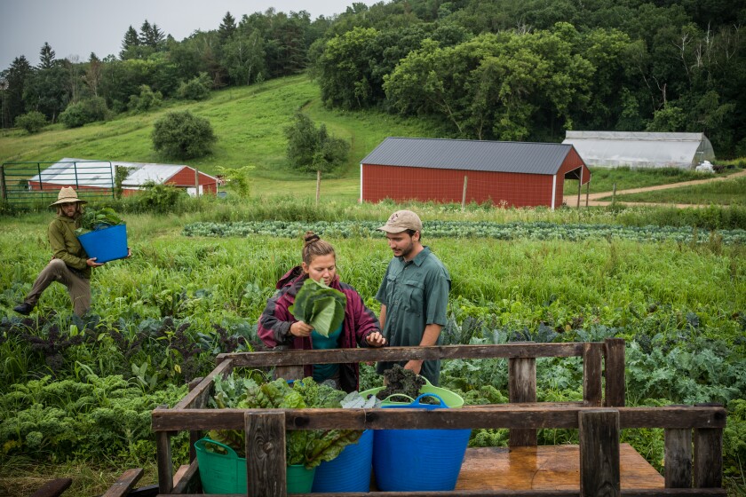 Bluff Valley Farm