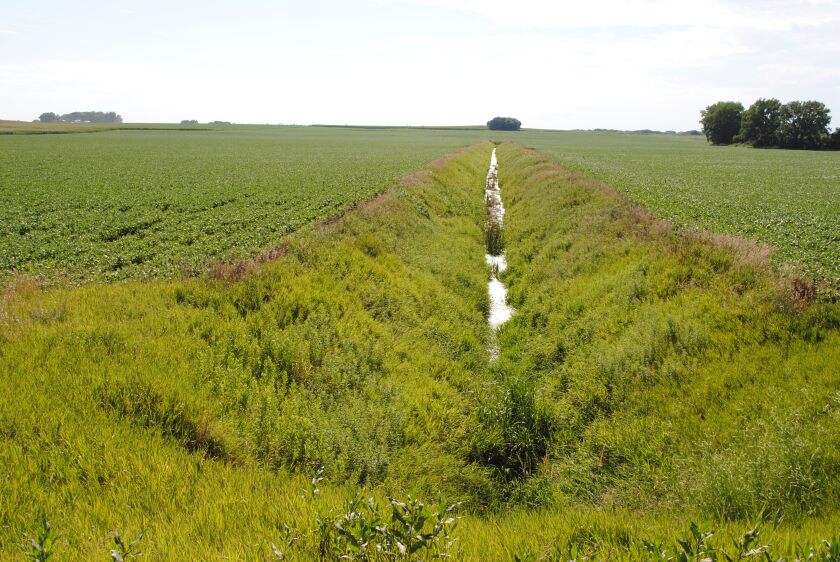 Buffers of grass that filter crop land pollutants and soil out of water are required by Minnesota law. Submitted photo / Minnesota Pollution Control Agency