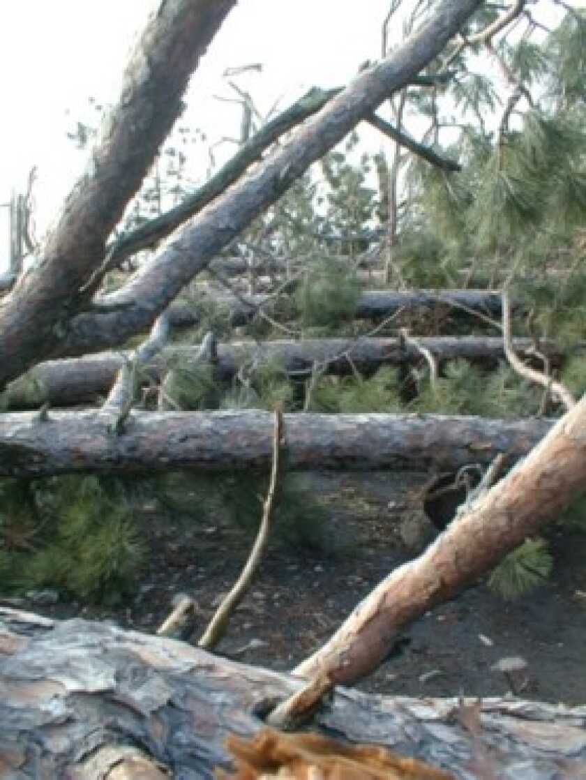 BWCA destruction .jpeg