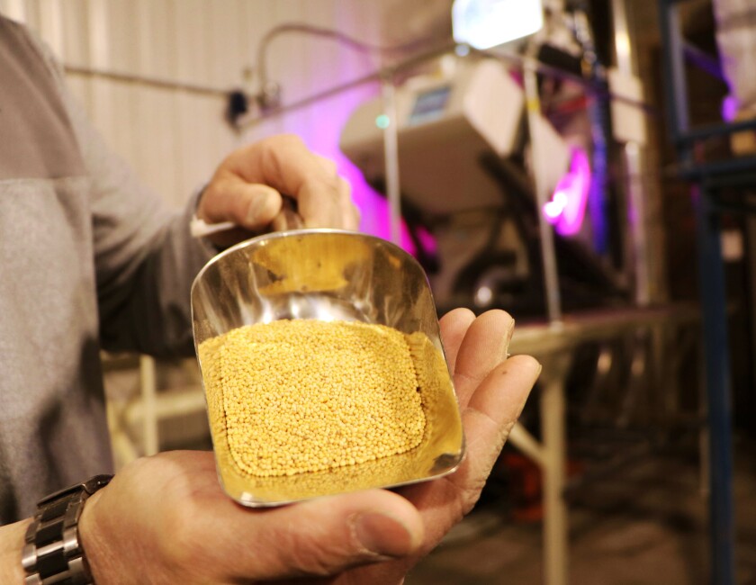 050321.AG.Minn-Dak Growers Specialty Crops06.jpg