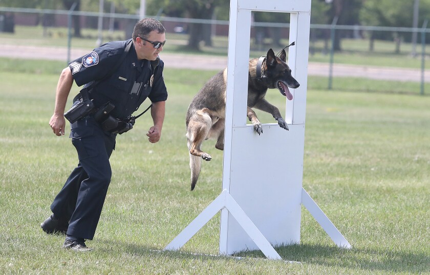 081221.n.st.K9brief3.jpg