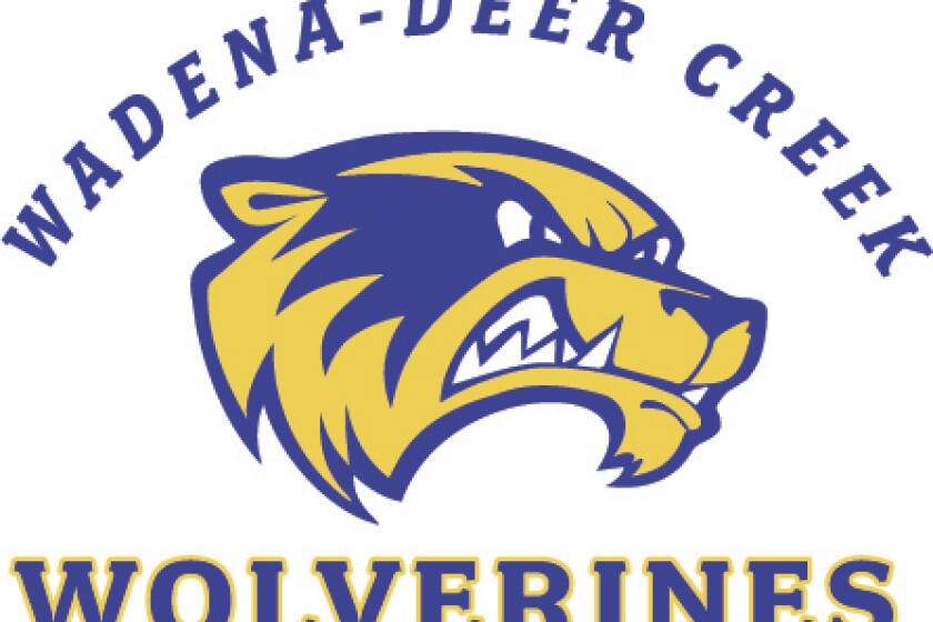 WDC-Wolverines-Logo-1.jpg