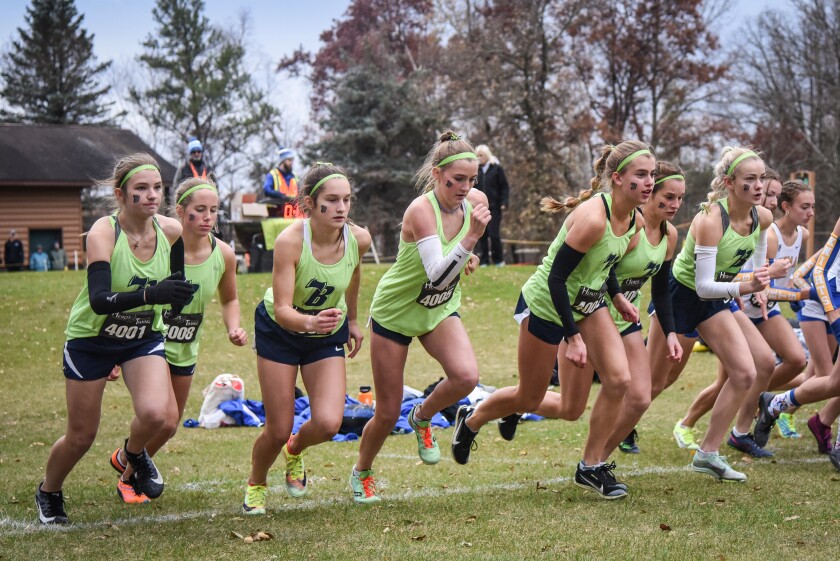 CROSS COUNTRY: Bemidji boys reach state at Section 8-3A meet, 2 ...