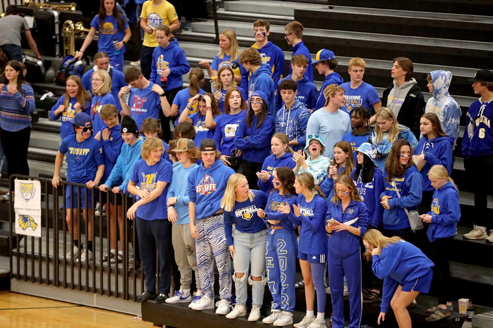 Pequot Lakes vs Wadena-Deer Creek Volleyball on Thursday, Nov. 3, 2022, in Sauk Rapids.