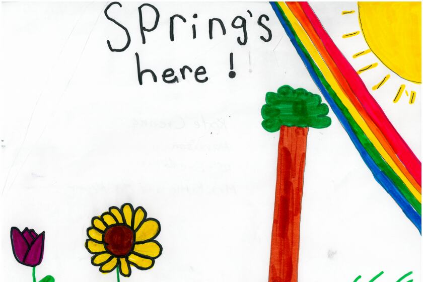 A drawing of the sun in spring shining on a rainbow, flowers and trees.