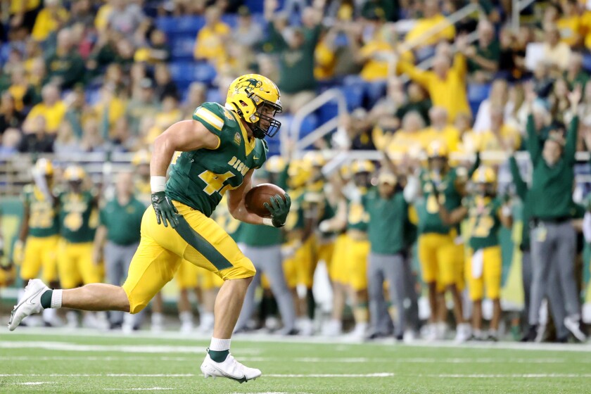 100222.S.FF.Bison.Luepke2